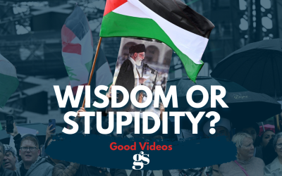 The great debate on the Gaza War: the Hon. John Ruddick MLC vs Prof Jim Allan and Dr David Adler